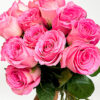 Pink - Roses - Image 2